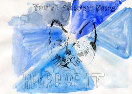 A pencil sketch of a cat’s bemused, goggle-eyed face surrounded by block letters spelling out YOU’VE PROBABLY NEVER HEARD OF IT, over a sunburst pattern in a wash of shades of blue. 