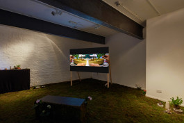 Things I Have Learned The Hard Way