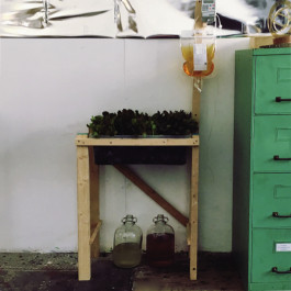 A photograph taken close to the wall of what looks like an artist's studio. The in the background there seems to be a wall coated in tinfoil. To the right is a light green filing cabinet with various objects on top. The focus of the image is a wooden structure, like a table or stool, but with on long beam on the right, from which is suspended a bag of yellow fluid (TPN). This is being administered, through an electronic drip mechanism, to a tray of lettuce sitting where the 'seat of the stool would be, There are two demijohns of liquid on the floor beneath the tray. 