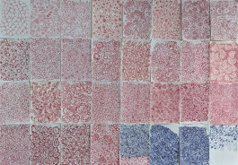 Things I Have Learned The Hard Way