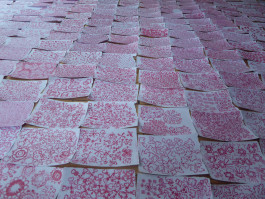 Things I Have Learned The Hard Way