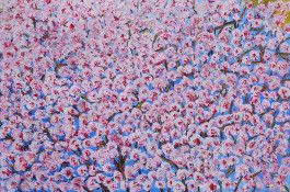 Things I Have Learned The Hard Way