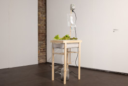 Intravenous Living Salad, as installed at Well Projects, 2023. Photo: Steven Cass 