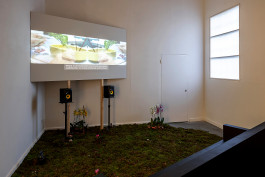 Things I Have Learned The Hard Way