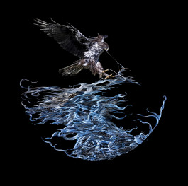 Things I Have Learned The Hard Way