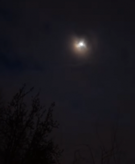 Things I Have Learned The Hard Way