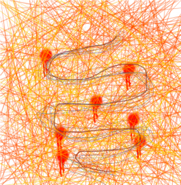 Things I Have Learned The Hard Way