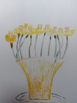 Things I Have Learned The Hard Way