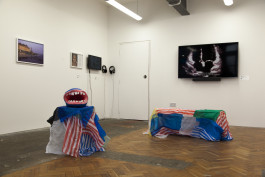 Things I Have Learned The Hard Way, installation view. Photo: Steven Cass, 2022. 
