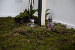 Arrangement, installation detail showing moss and ceramics. Photo: Steven Cass, 2023 