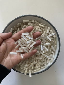 Things I Have Learned The Hard Way