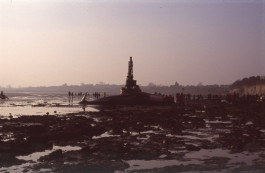In the first photograph, the sky is a murky grey/lilac. Wet sand glistens, the waves creating wavy channels. Figures in anoraks, one with a dog mill around. In the foreground, rocks, rockpools, seaweed. And then in the middle, the dead whale lies, with a cherry picker looming over it, looking a little like a miniature Eiffel tower. 