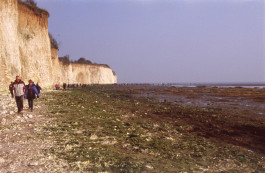 Things I Have Learned The Hard Way