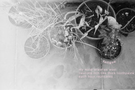 Things I Have Learned The Hard Way