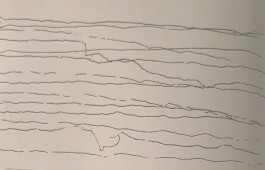 Things I Have Learned The Hard Way