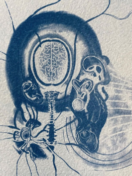 Things I Have Learned The Hard Way