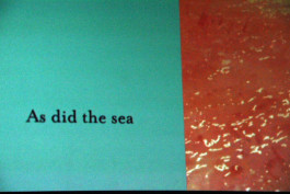 Things I Have Learned The Hard Way