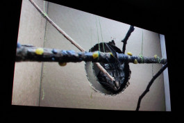 Things I Have Learned The Hard Way