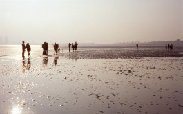 Late afternoon on the mudflats at low tide. Scattered groups of onlookers, cast in silhouette by the sun, look towards something out of shot. A police officer's cap is discernible amongst one of the groups. 