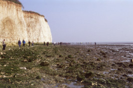 Things I Have Learned The Hard Way