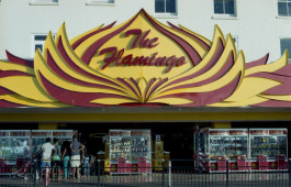 Things I Have Learned The Hard Way