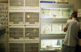 Things I Have Learned The Hard Way