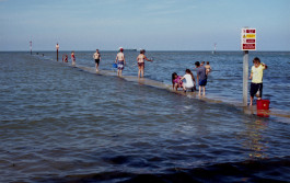 Things I Have Learned The Hard Way